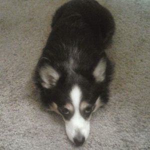 Meet your Posher, Carla